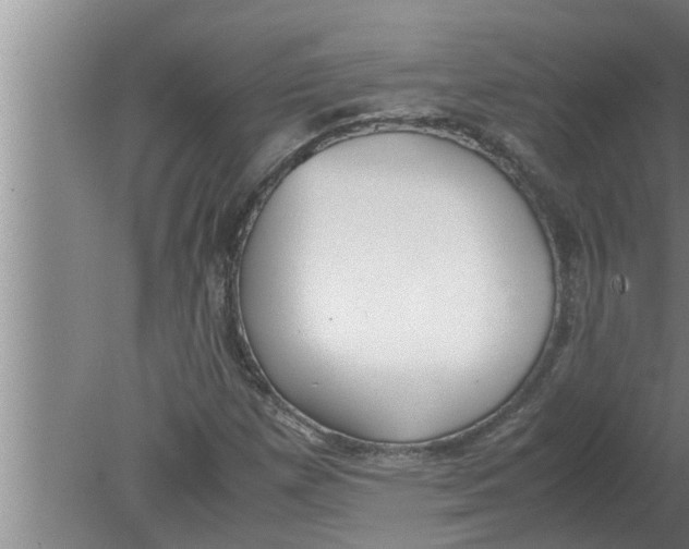 X0000080171257200612302210