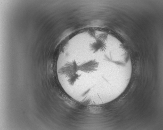 X0000080171258200612302210