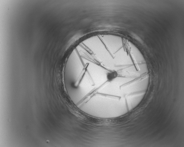 X0000080171259200612302210