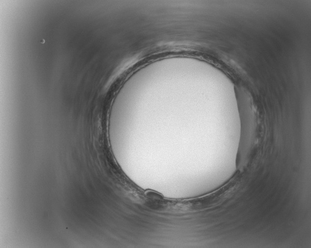 X0000080171261200612302210