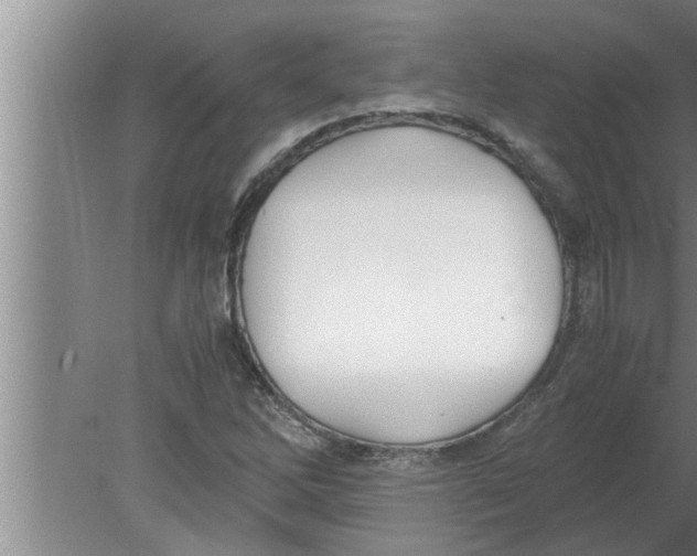 X0000080171262200612302210