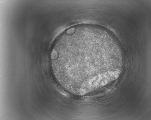 X0000080171263200612302210