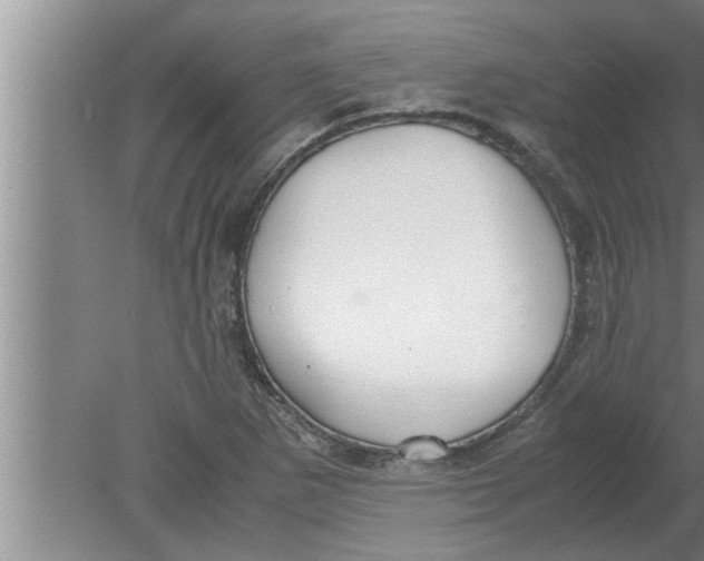 X0000080171265200612302210