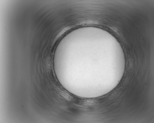 X0000080171266200612302210