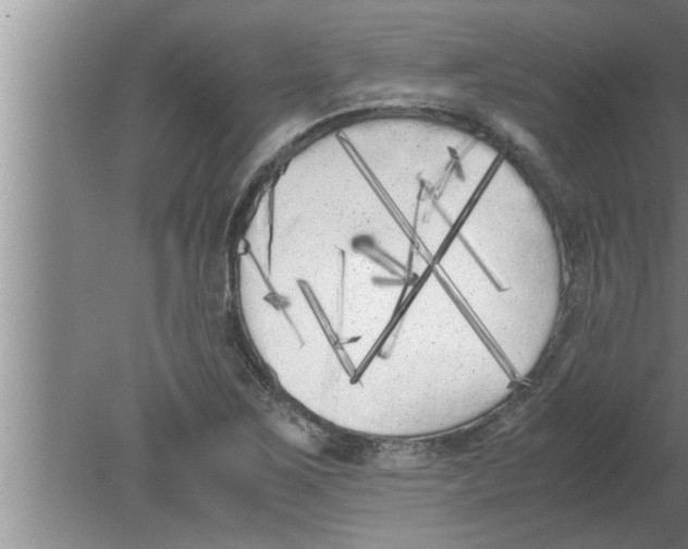 X0000080171267200612302210