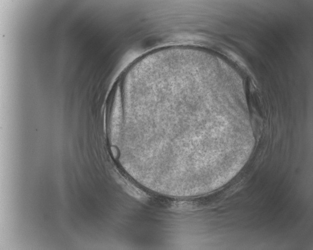 X0000080171275200612302210