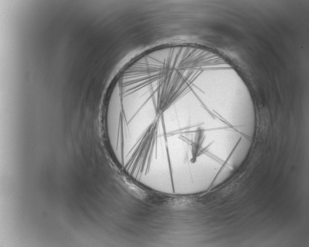 X0000080171278200612302210