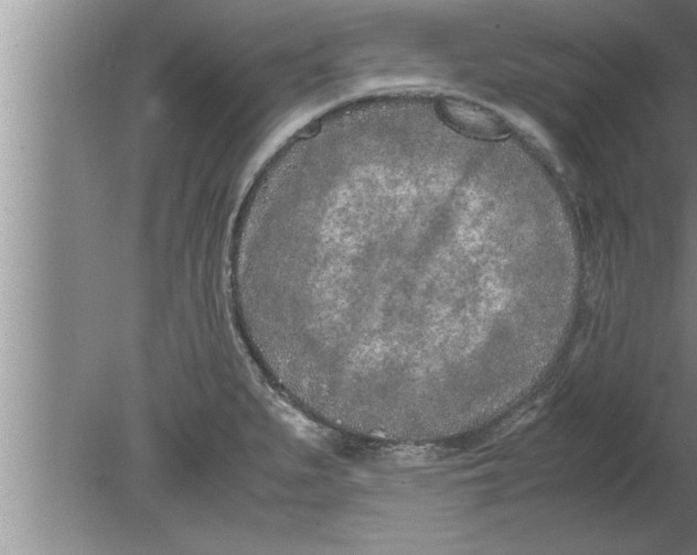 X0000080171279200612302210