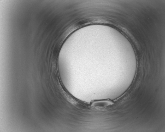 X0000080171281200612302210