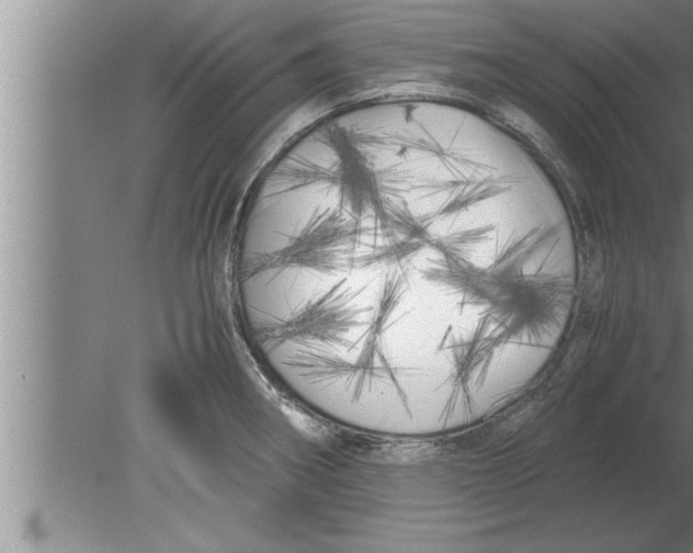 X0000080171282200612302210