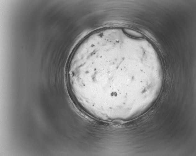 X0000080171283200612302210