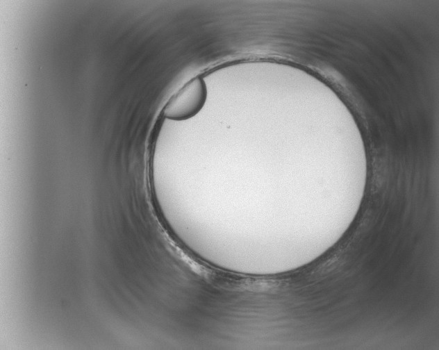 X0000080171286200612302210