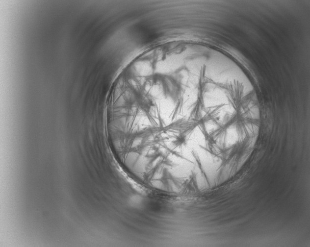 X0000080171290200612302210