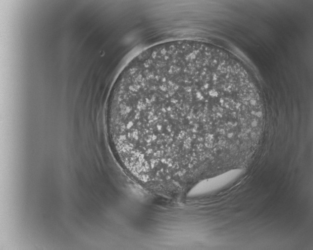 X0000080171291200612302209