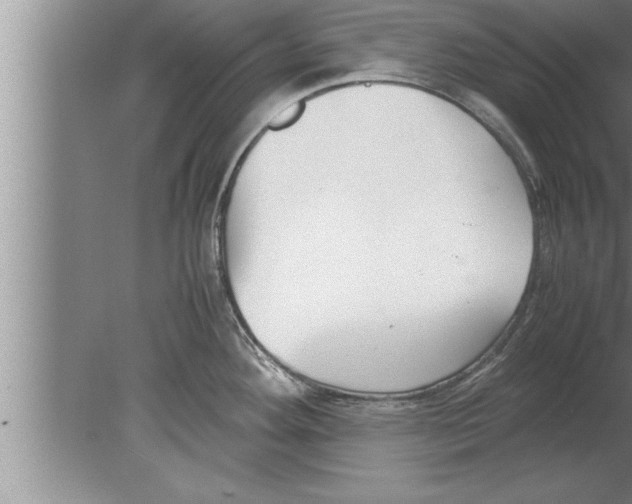 X0000080171292200612302209