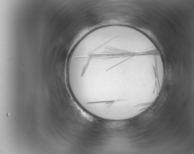 X0000080171294200612302209