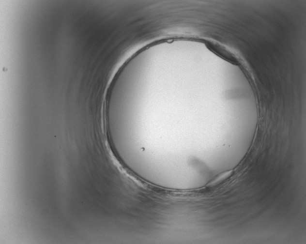 X0000080171295200612302209