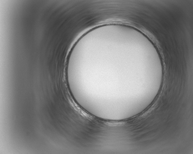 X0000080171296200612302209