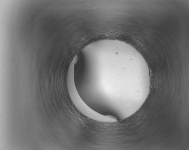 X0000080171298200612302209