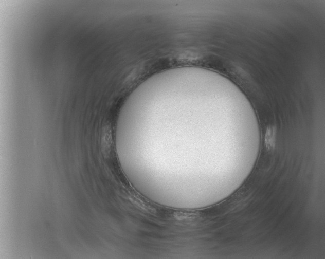 X0000080171299200612302209