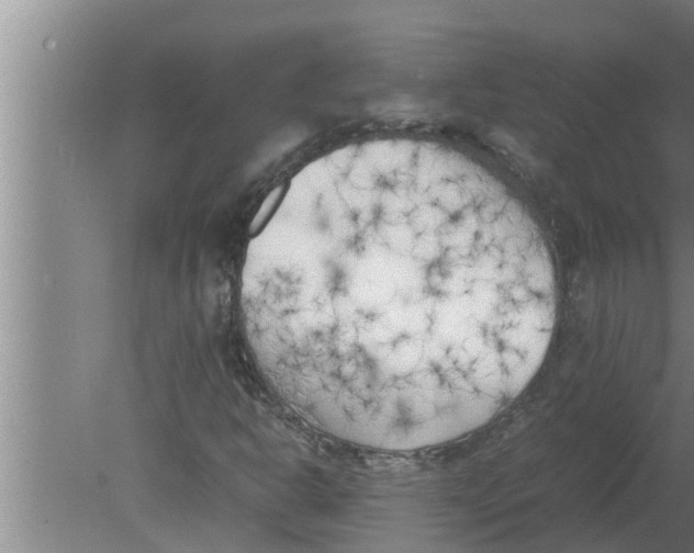 X0000080171302200612302209