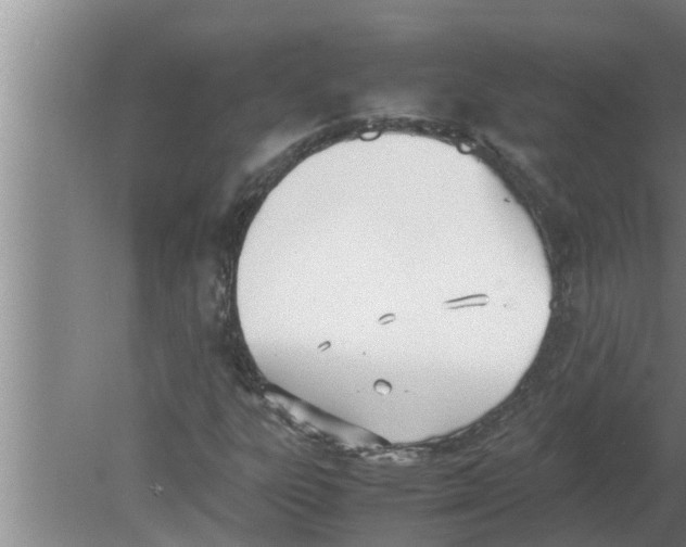 X0000080171303200612302209