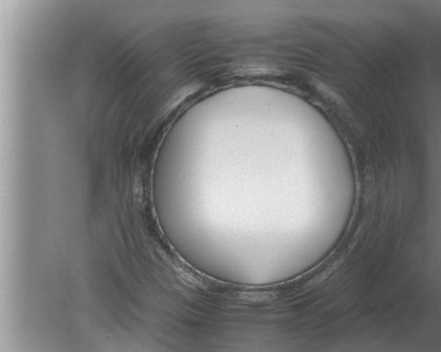 X0000080171305200612302209