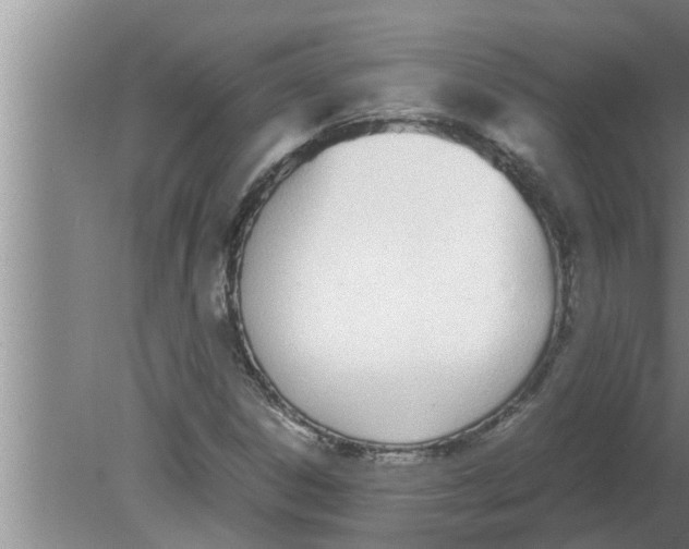 X0000080171306200612302209