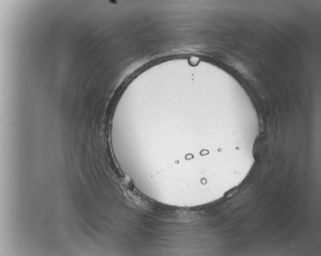 X0000080171308200612302209