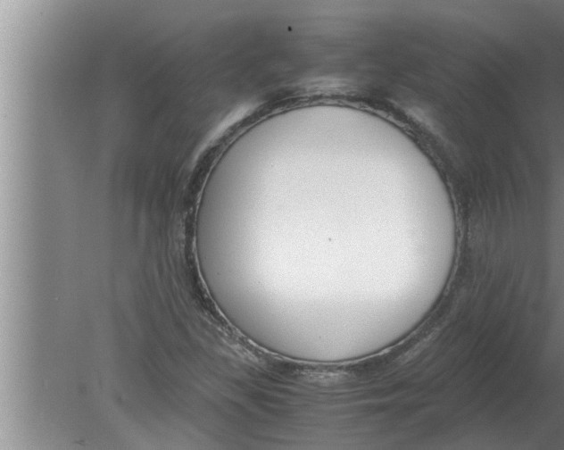 X0000080171309200612302209