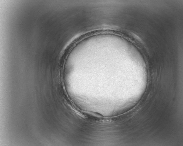 X0000080171310200612302209