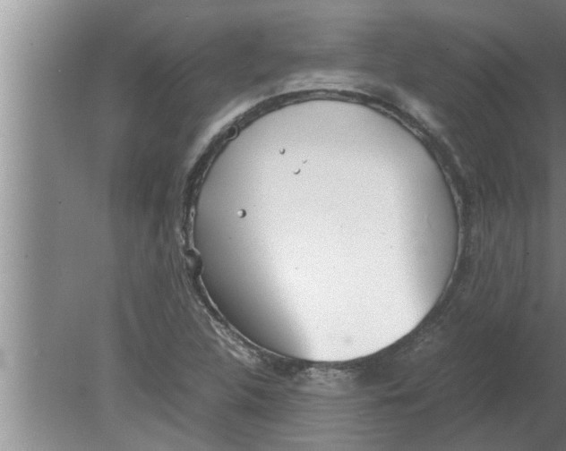 X0000080171312200612302209