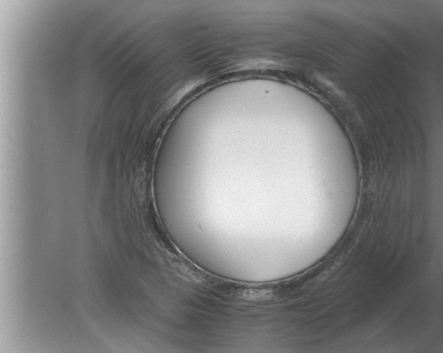 X0000080171313200612302209