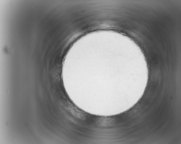 X0000080171314200612302209