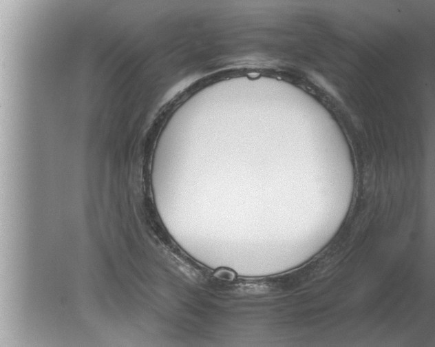 X0000080171315200612302209