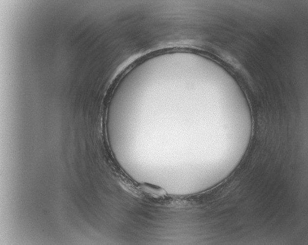 X0000080171316200612302209