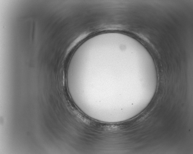 X0000080171317200612302209