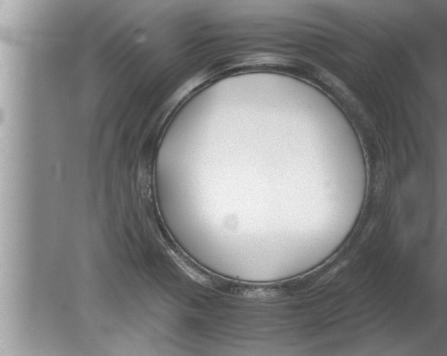 X0000080171321200612302209