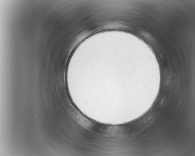 X0000080171322200612302209