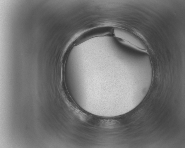 X0000080171323200612302209