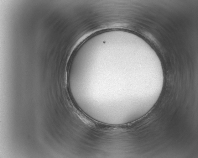 X0000080171324200612302209