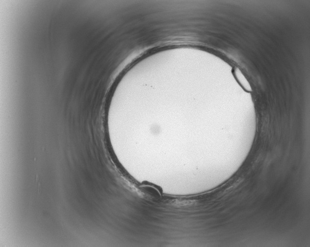 X0000080171325200612302209