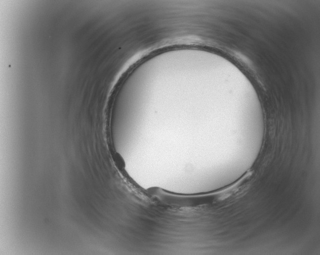 X0000080171326200612302209