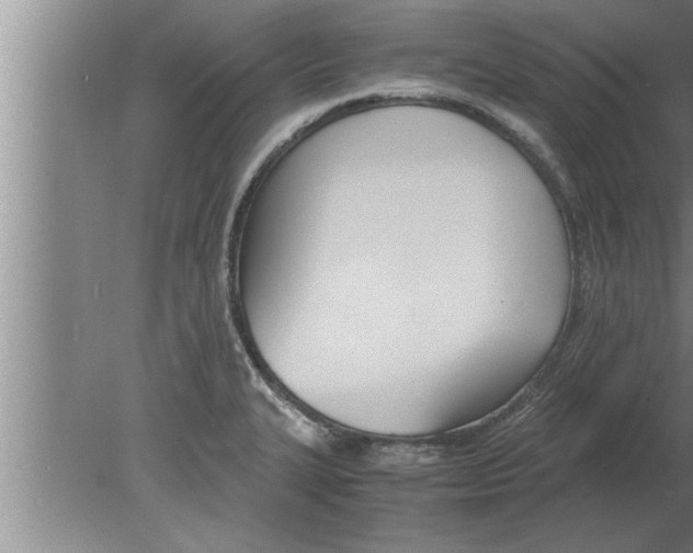 X0000080171327200612302209