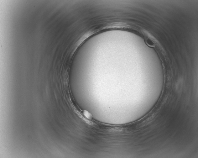 X0000080171329200612302209