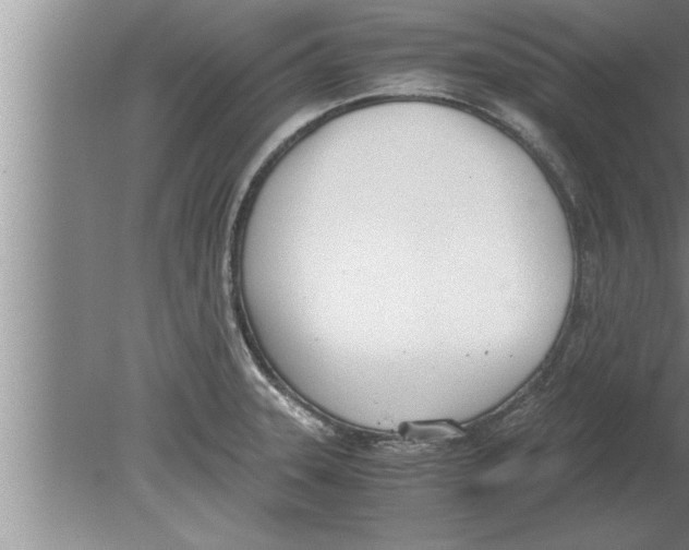 X0000080171331200612302209