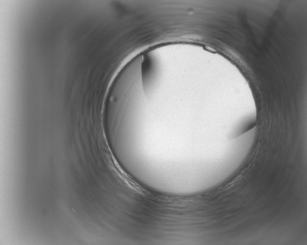 X0000080171332200612302209