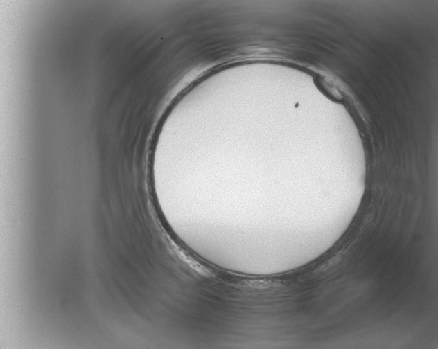 X0000080171333200612302209