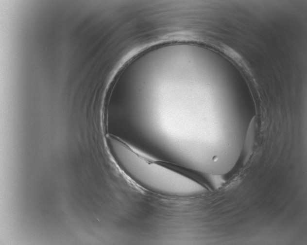 X0000080171334200612302209