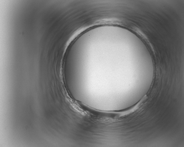 X0000080171336200612302209